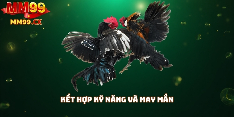 Kết hợp kỹ năng và may mắn