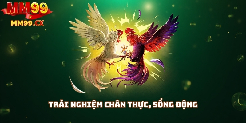 Trải nghiệm chân thực, sống động