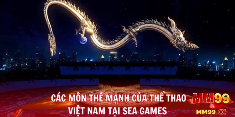 Thành Tích Thể Thao Việt Nam Tại SEA Games – Hành Trình Vươn Tầm Khu Vực 3 Các môn thế mạnh của thể thao Việt Nam tại SEA Games